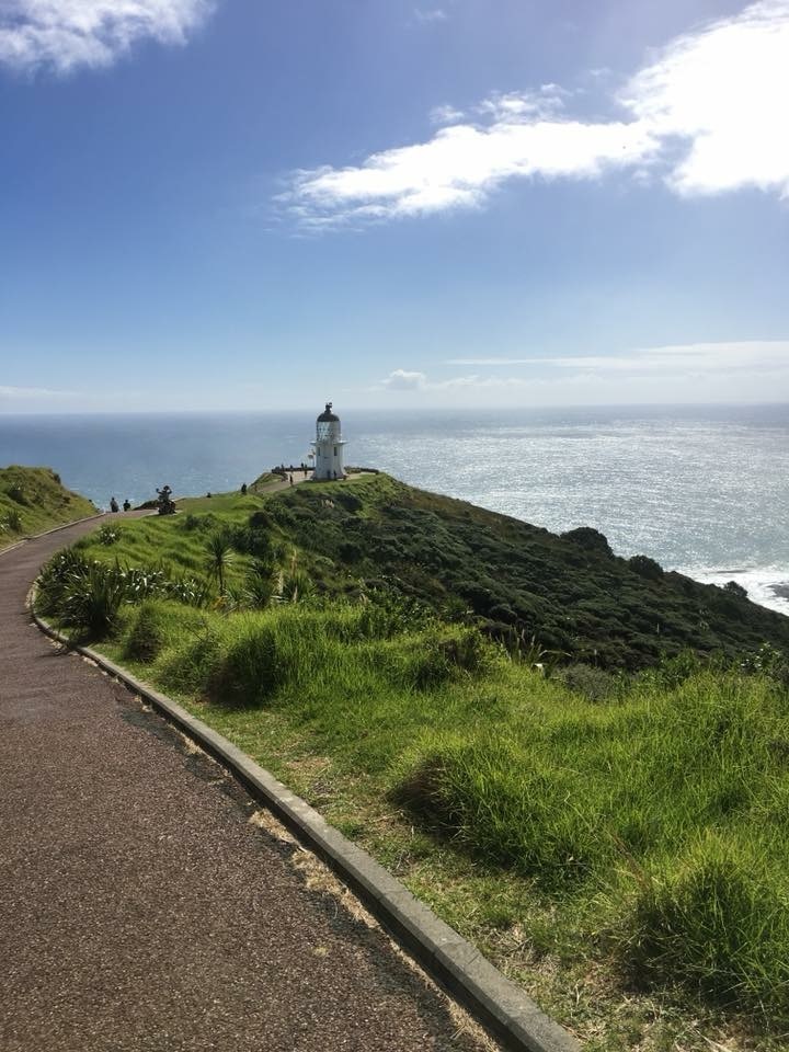 Need help . - My, Help, New Zealand, The strength of the Peekaboo, Longpost