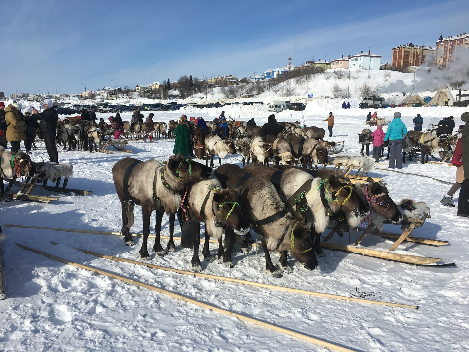 Day of the Reindeer Breeder (Salekhard) - Salekhard, Reindeer Herder's Day, The photo, Longpost