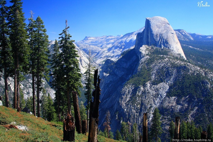 Yosemite: one of the most beautiful places in the USA - Yosemite National Park - beauty, Beautiful view, Sight, Waterfall, The park, On a note, Animals, The mountains, Video, Longpost