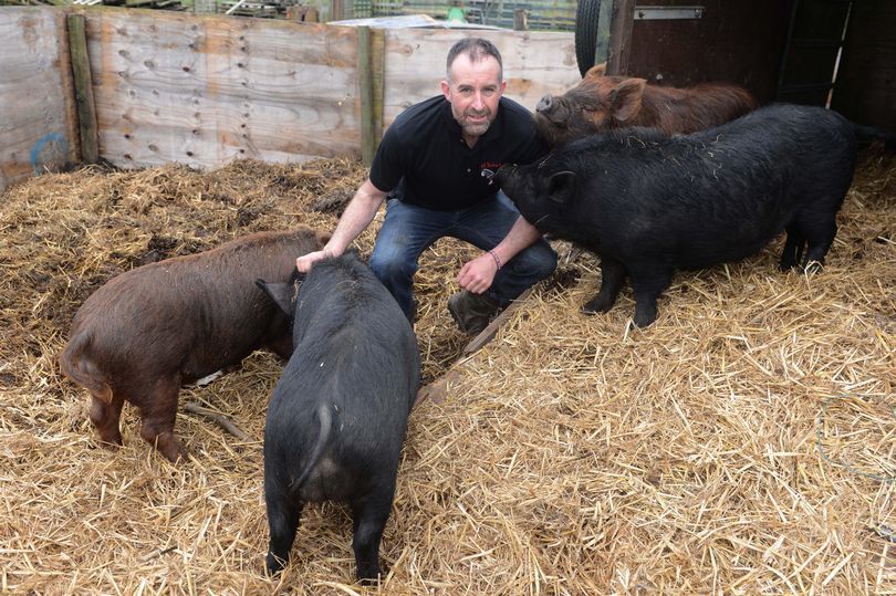 British farmer shames neighbors with joking sign - Farm, Nature, Animals