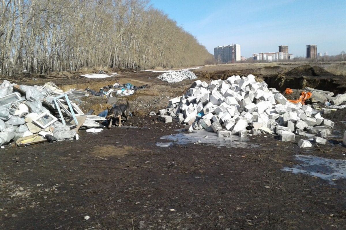 Novosibirsk drivers fall into the asphalt, and bare rebar pins sprouted in the parking lot - Road, Siberia, Novosibirsk, Off road, Spring, Longpost