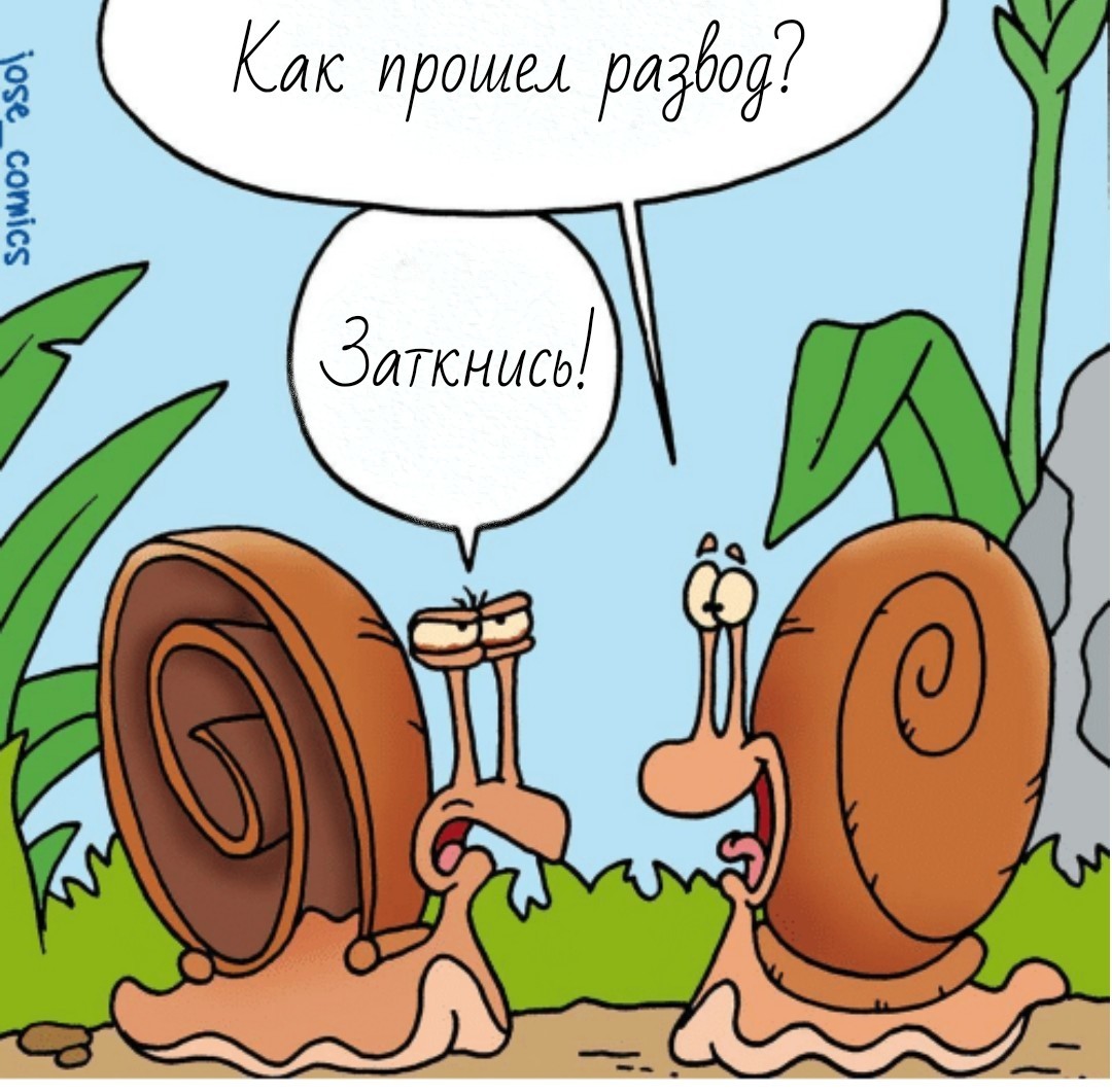 Немного о Германии. Семья и законы - Моё, Германия, Семья, Закон, Длиннопост, Развод, Брак, Усыновление