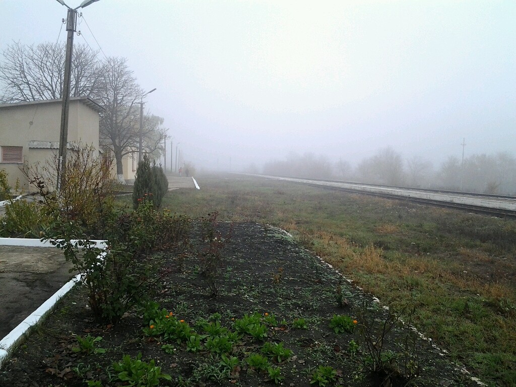 Railway 2 - My, Railway, A train, railway, Travels, Moldova, Longpost