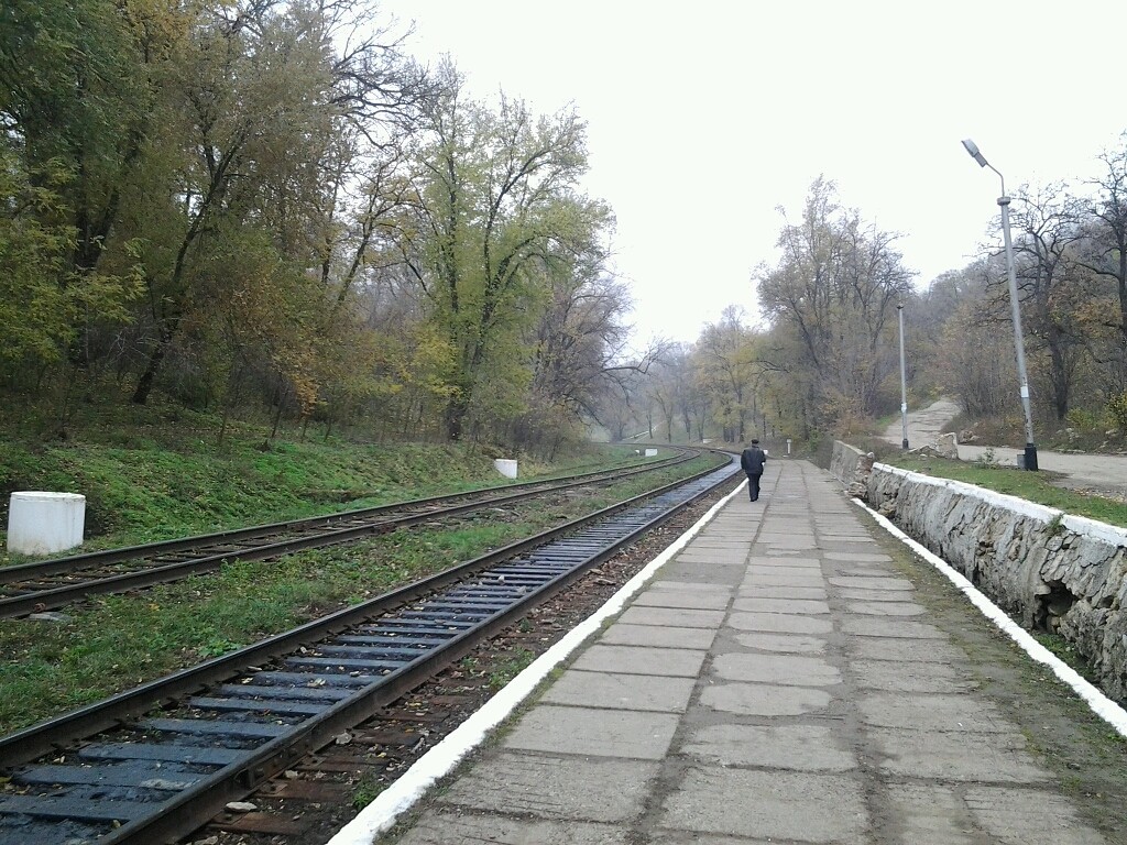 Railway 2 - My, Railway, A train, railway, Travels, Moldova, Longpost