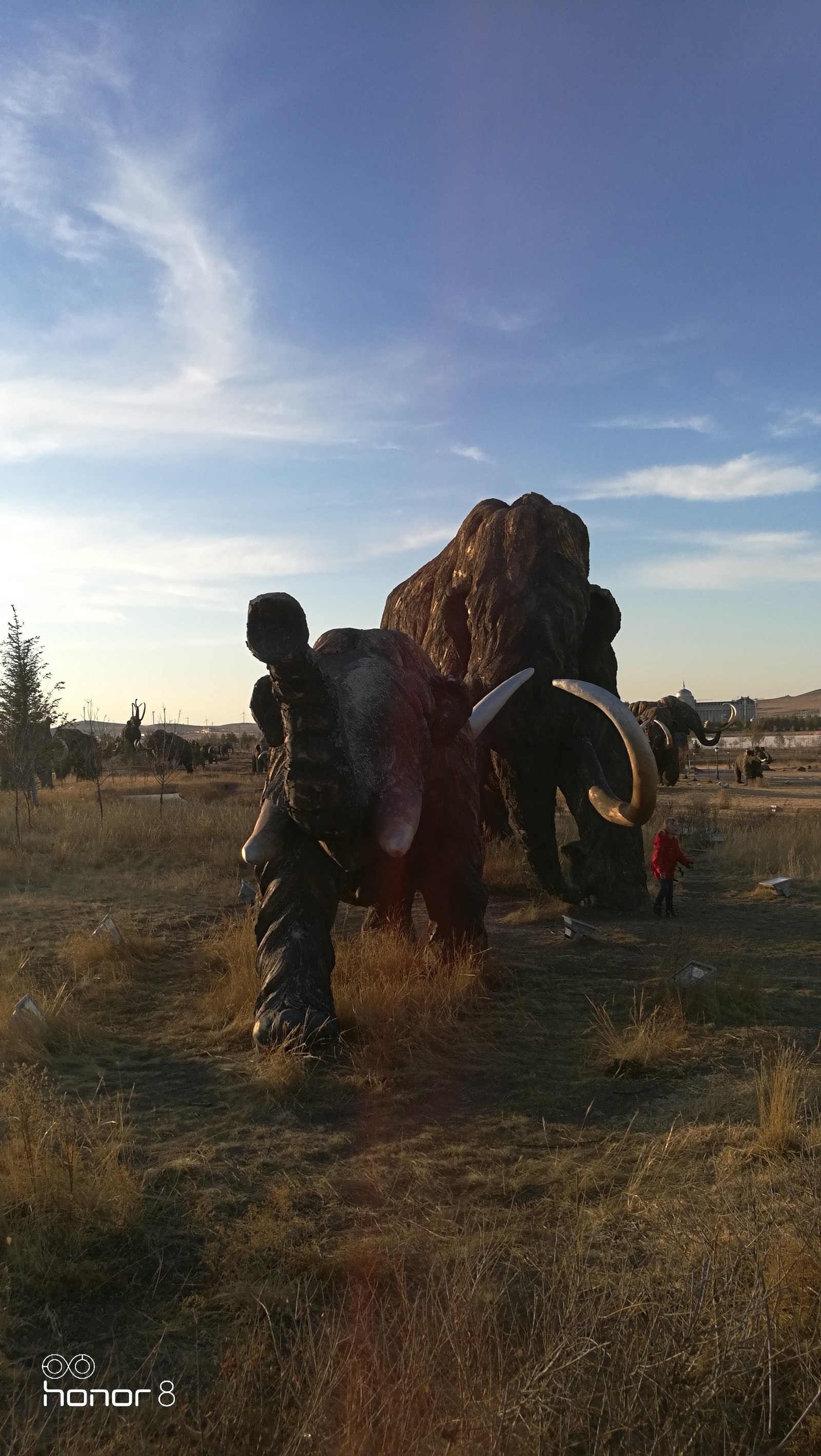 Mammoth Park Manchuria (inner mongolia) - My, Mammoth, China, Longpost, The park