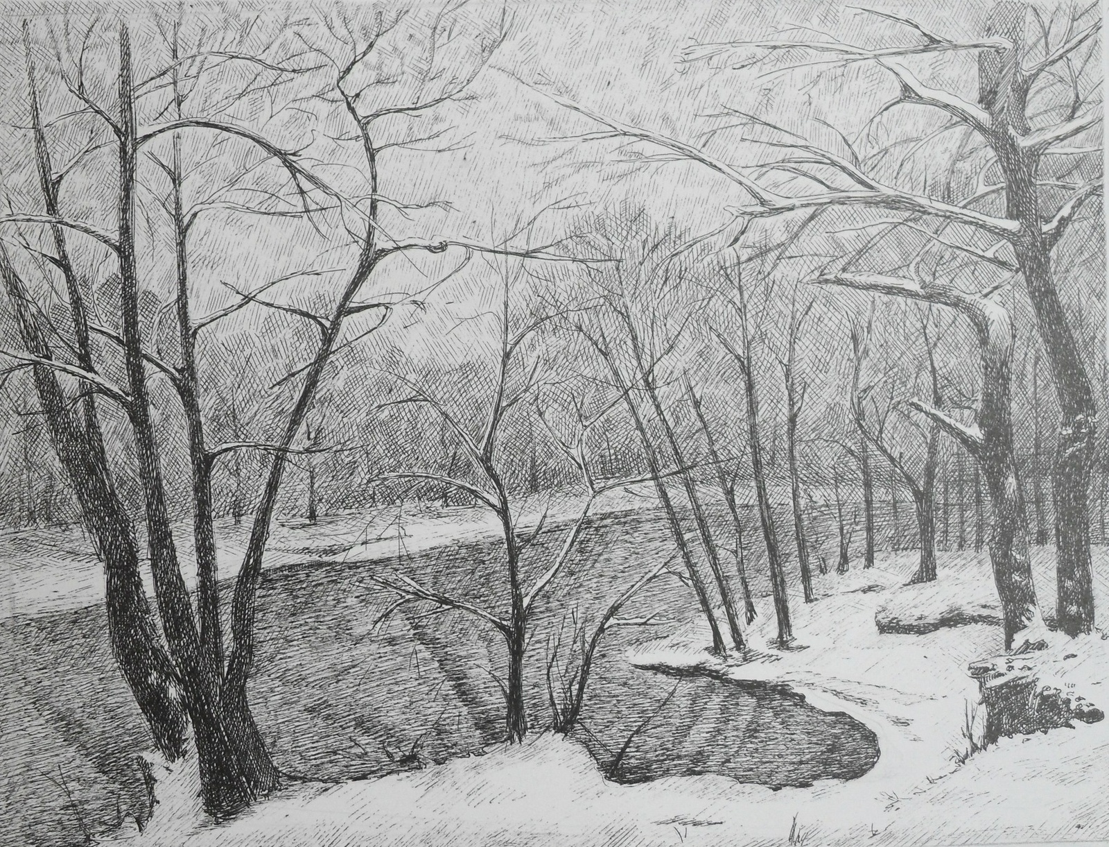 Landscape. - My, Gel pen, Landscape, Drawing, Pen, River, Tree, Forest