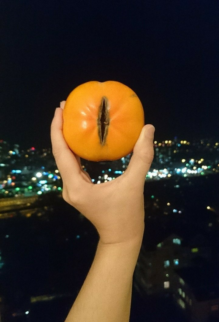 Persimmon Omnipotence - My, Lord of the Rings, Sauron, Persimmon, All-seeing eye