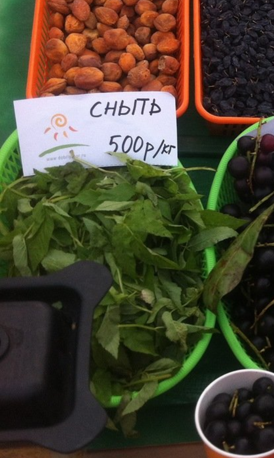 Last year I wandered into a vegetarian festival in Moscow - My, Vegan, Post #10121423, Longpost