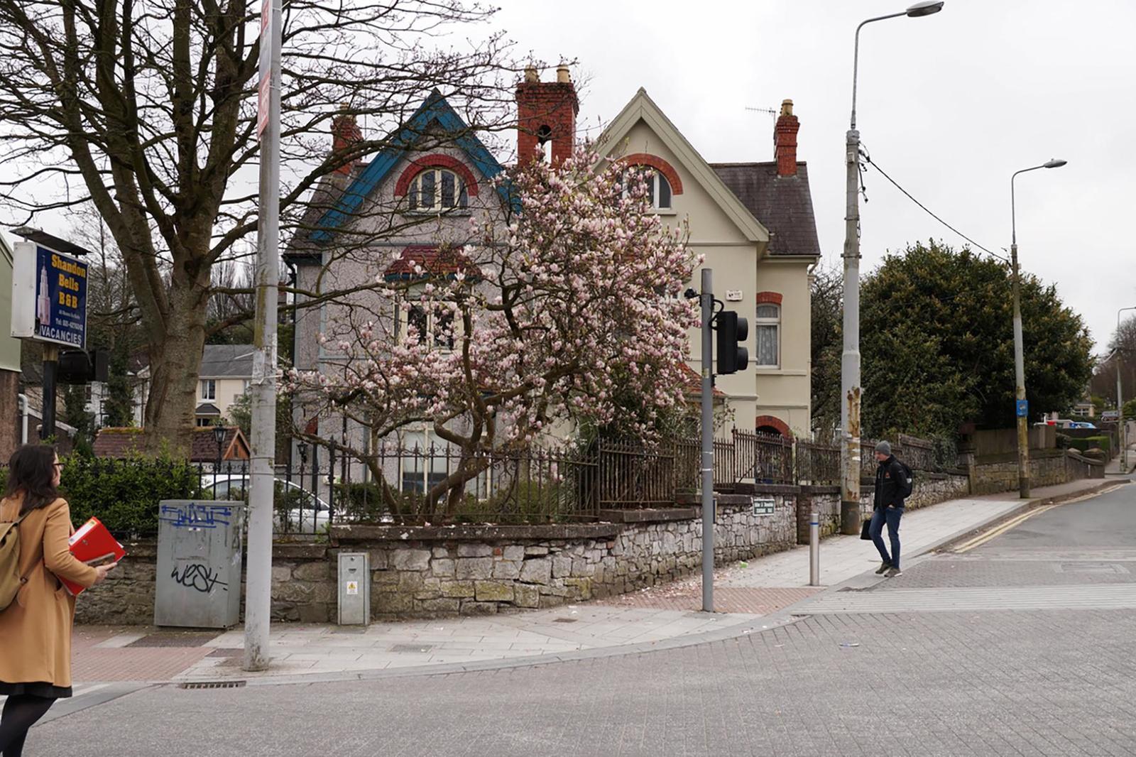 What is an Irish house, why, when moving to an island, you should fall in love with botany and why go to school from ... four years old. - My, Ireland, House, Longpost