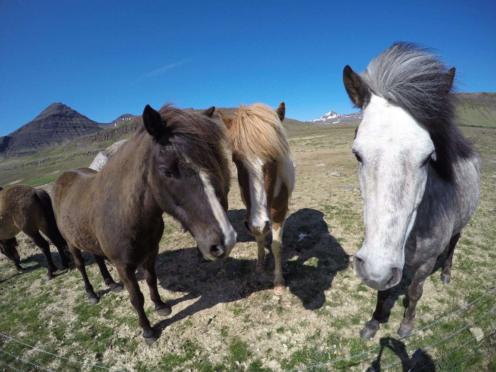 Iceland - My, Iceland, GoPRO, Longpost