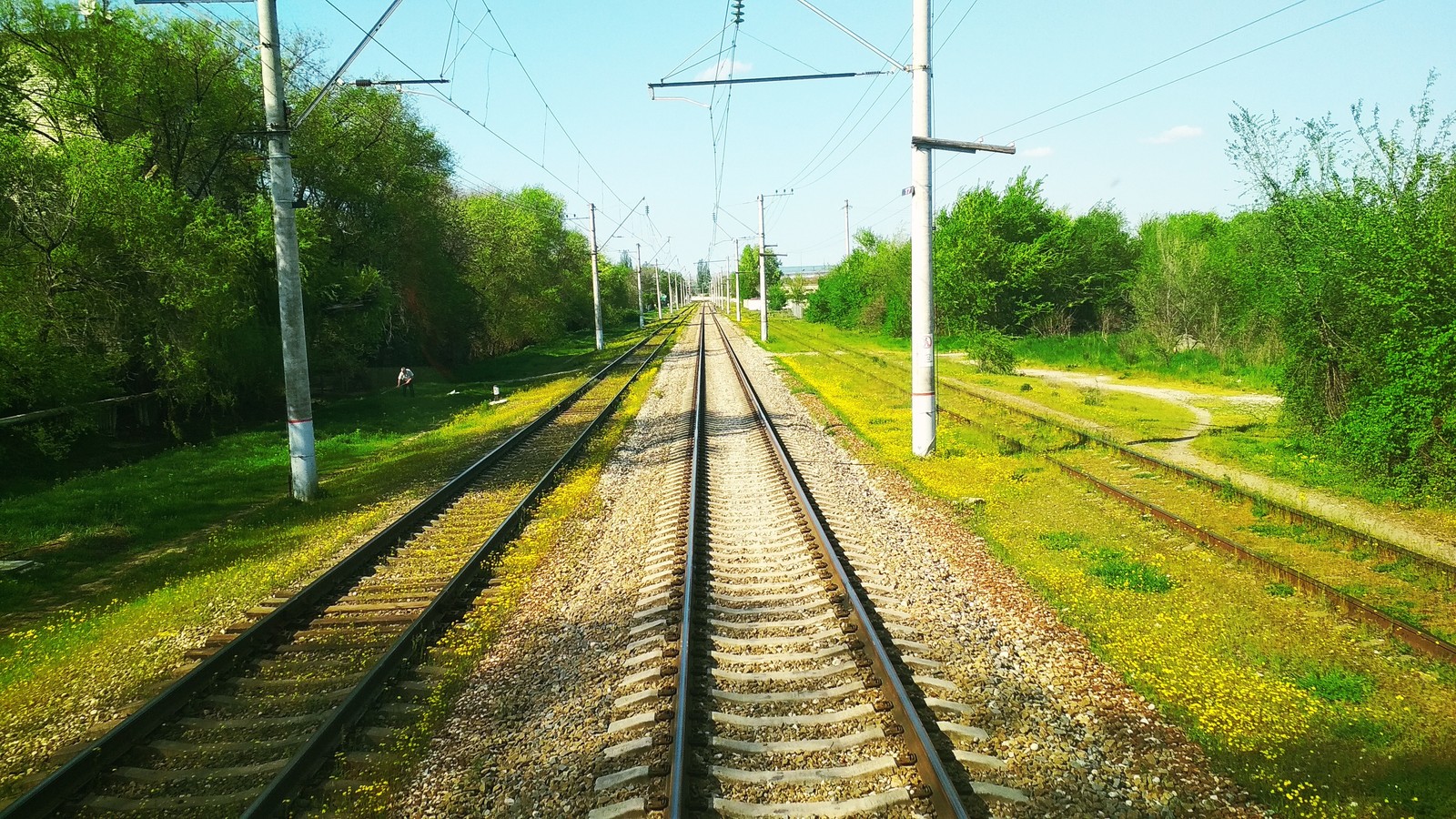 Yellow track (iron) - My, Russian Railways, The photo, Flowers, Spring