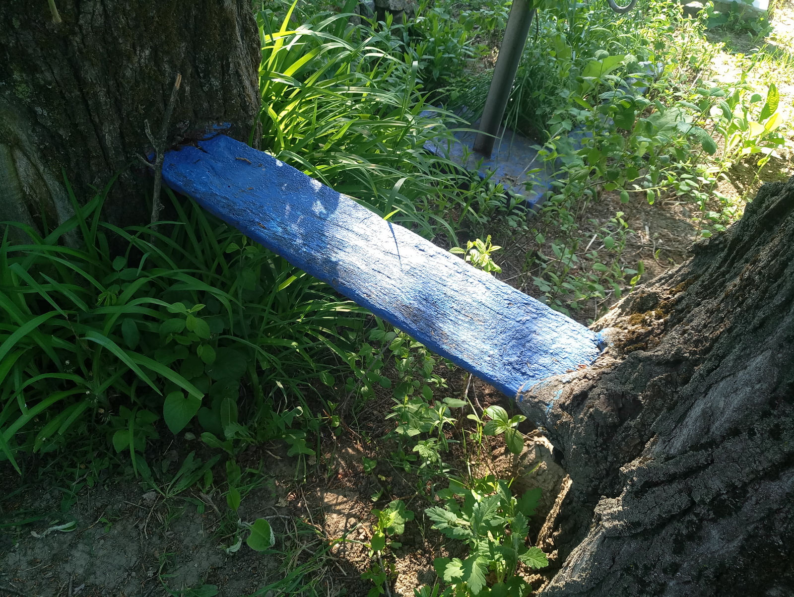 Time and nature - Bench, Poplar, Time, Nature, Longpost