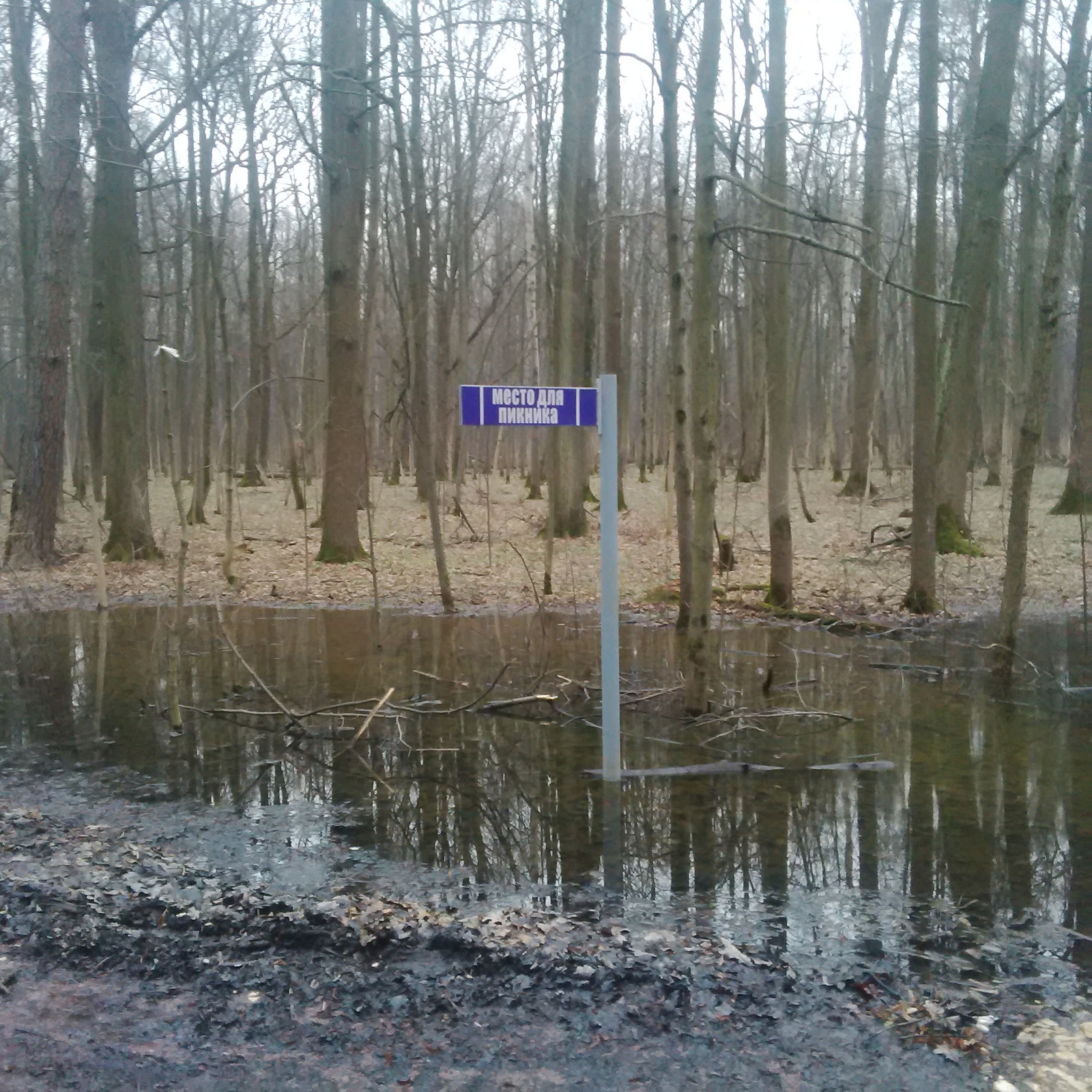 Roadside picnic area - Picnic, Pointer, Puddle, The photo