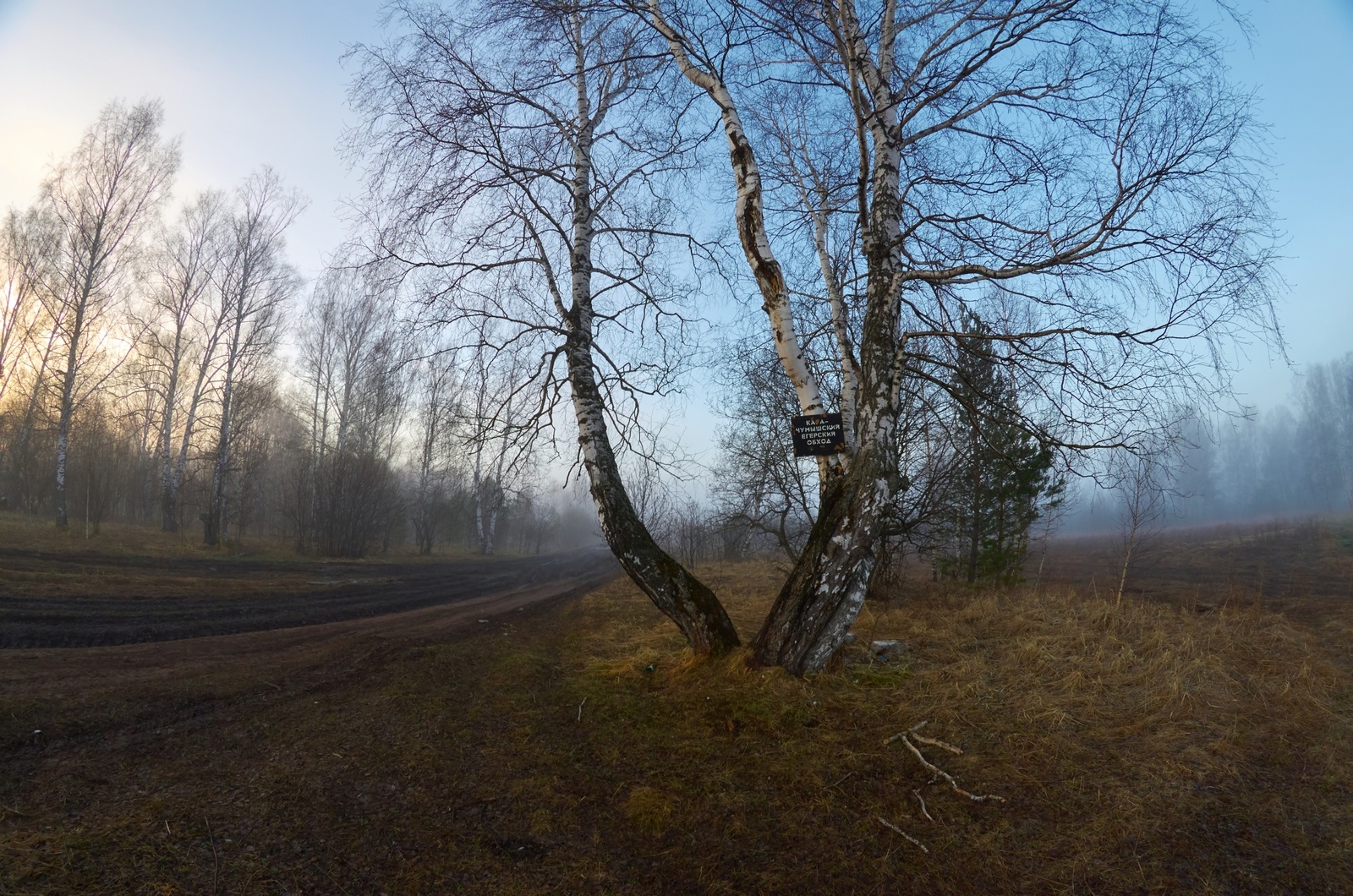 Siberian morning - My, Siberia, Fog, Morning, HDR, Spring, Nature, Longpost