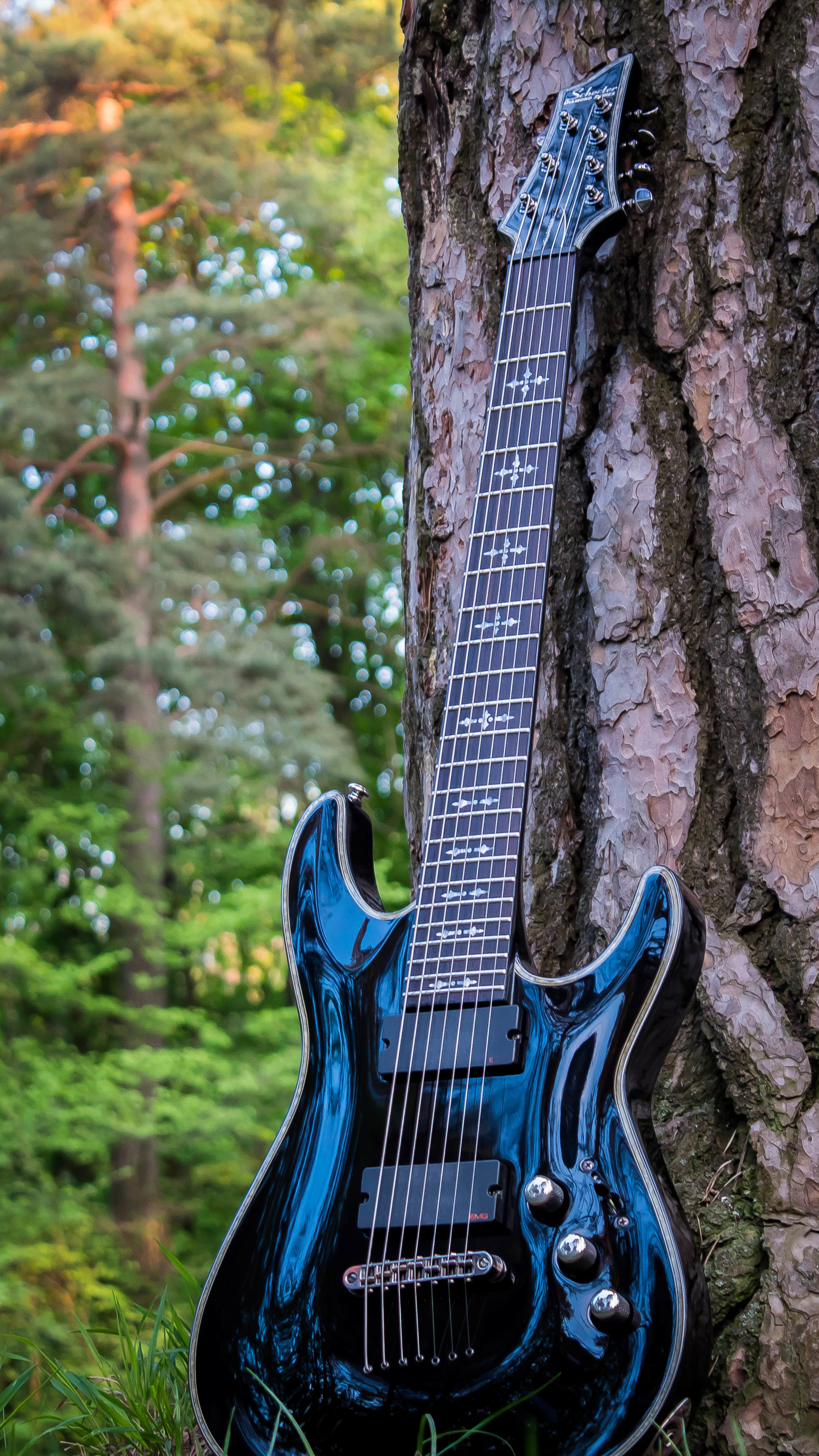 #4. SCHECTER HELLRAISER C-7 (gloss black) - My, Aesthetics, beauty, Nature, The photo, Electric guitar, Guitar, Dream, Forest, Longpost