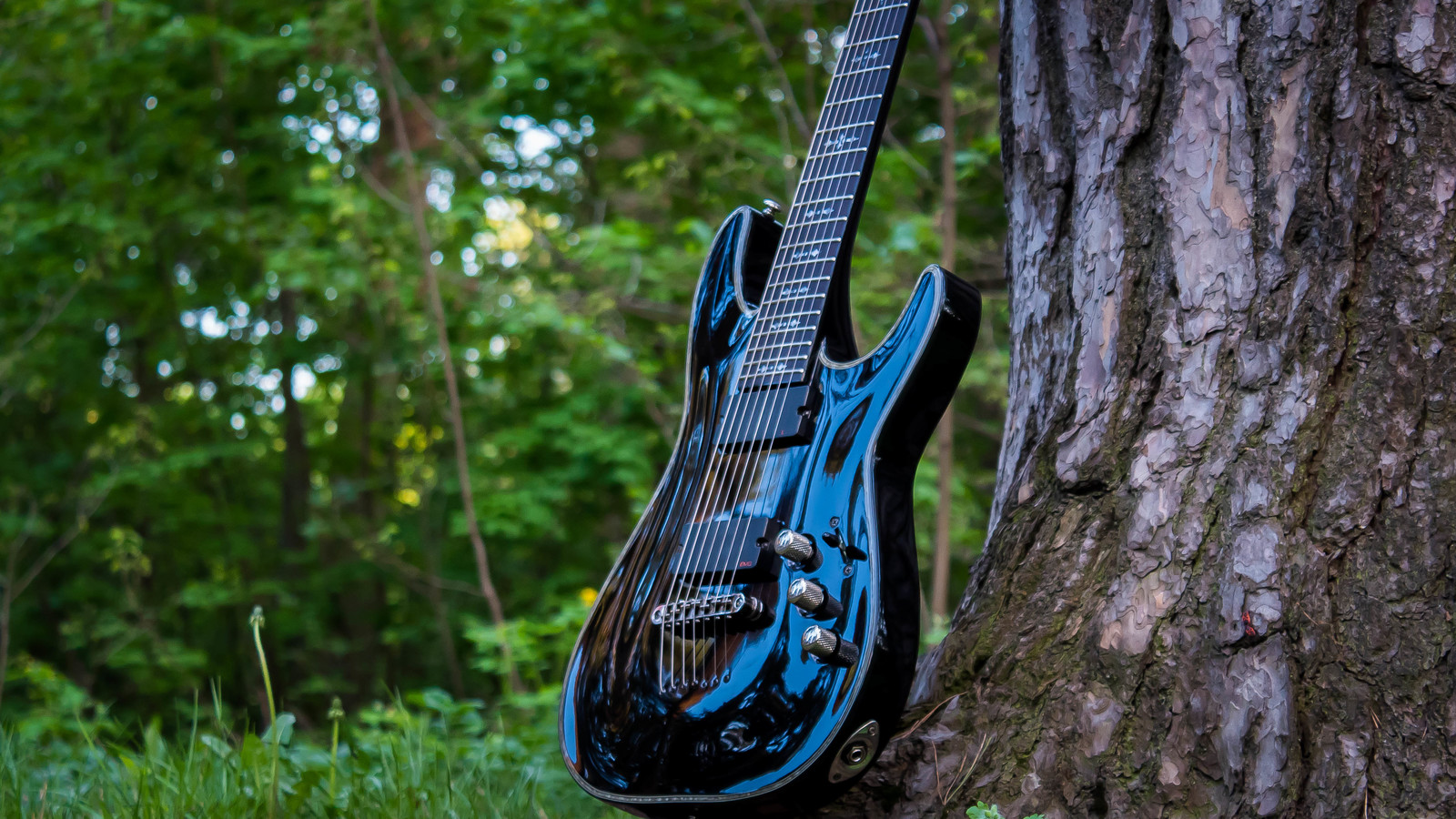 #4. SCHECTER HELLRAISER C-7 (gloss black) - My, Aesthetics, beauty, Nature, The photo, Electric guitar, Guitar, Dream, Forest, Longpost