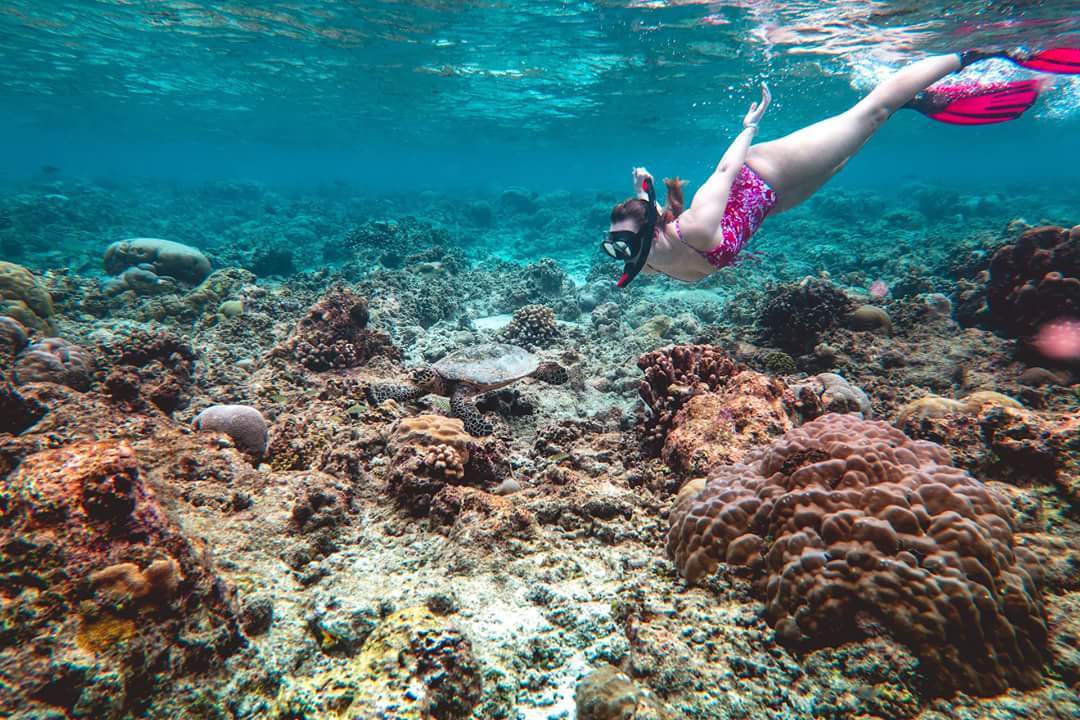 Maldives under and over water - My, The photo, Nature, Indian Ocean, Maldives, A fish, Longpost