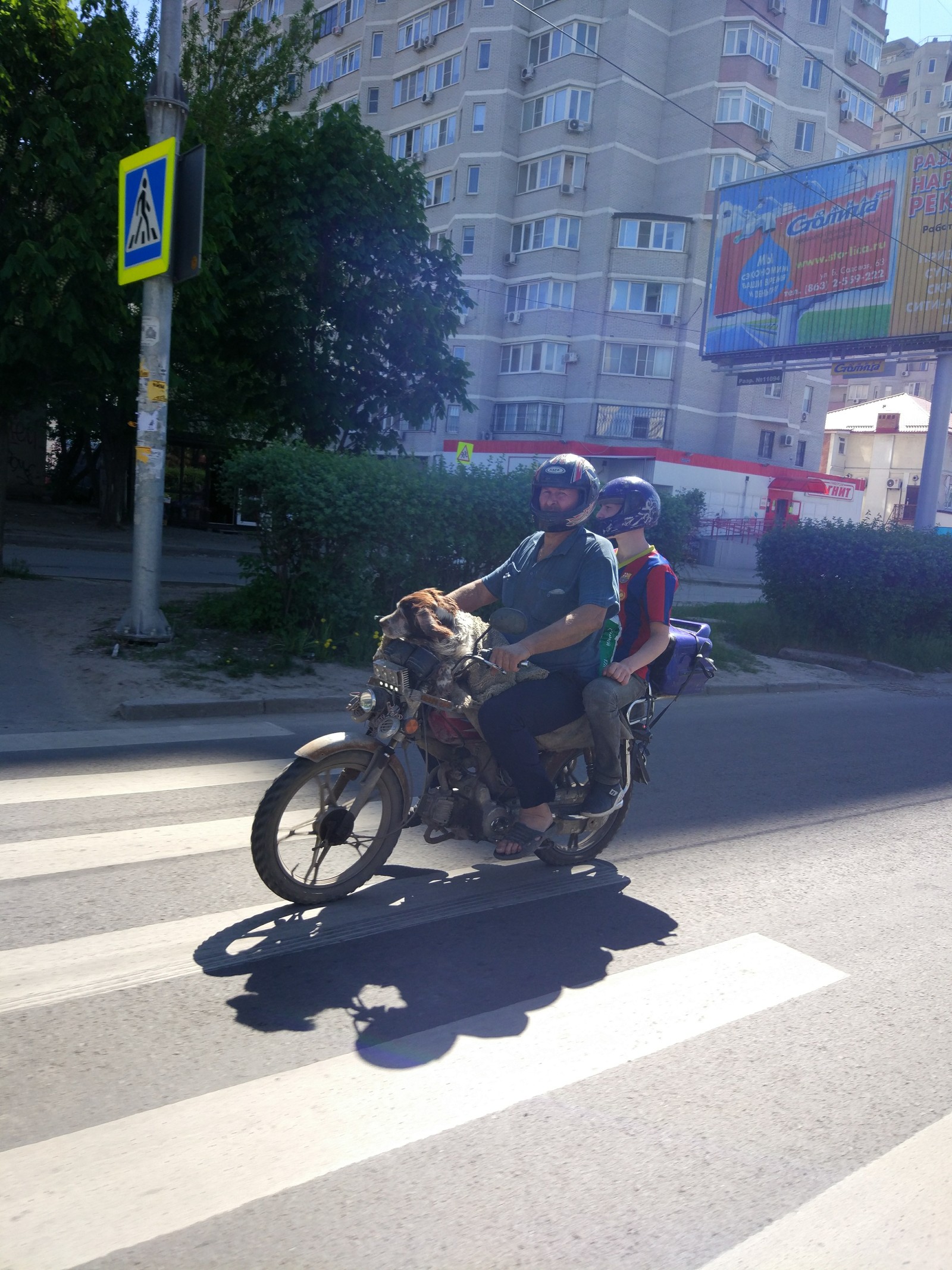 Мой приятель - беспечный ездок - Моё, Ростов-на-Дону, Собачьи будни, Мотоциклы, Шлем, Длиннопост, Собака, Мото