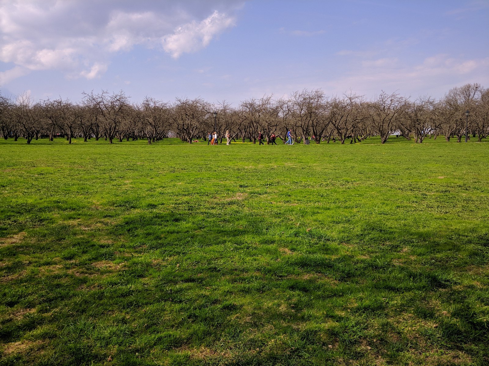 Walk in Kolomenskoye - My, Spring, Kolomenskoe, Mobile photography, Moscow, LG G6, Longpost