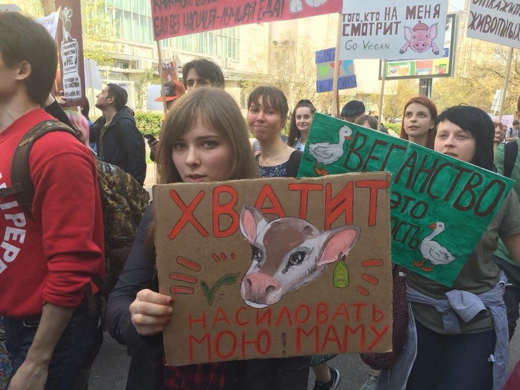 Веганы протестуют против дойки коров. - Веганы, Вегетарианство, Демонстрация, Странности