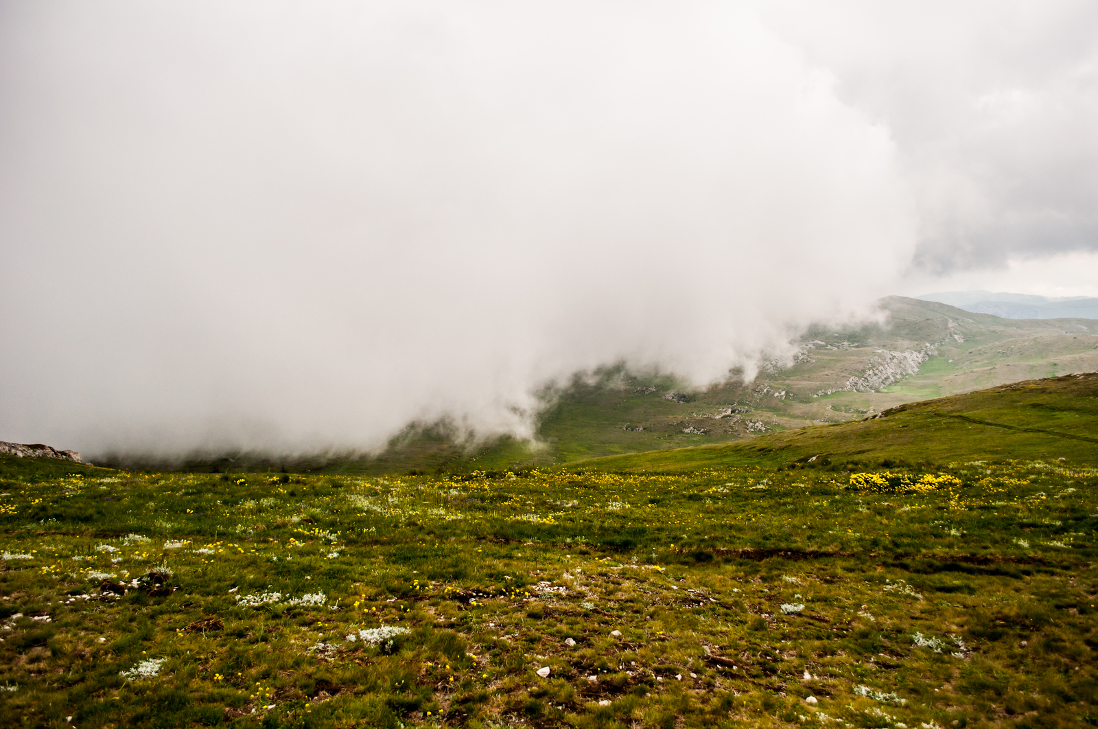 May Mountains of Crimea - My, Crimea, Nature, The mountains, Chatyr-Dag, , Longpost