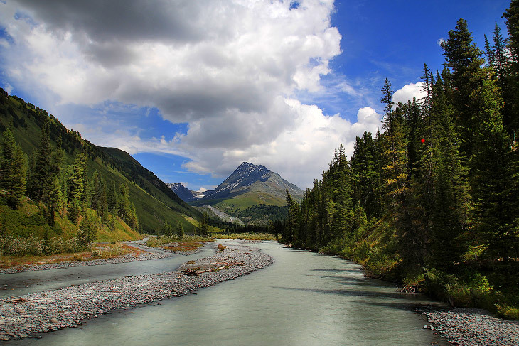 Mount Belukha - Altai - Russia, Altai, The photo, Longpost, Nature, Landscape, The mountains, Beluga Whale Mountain, Altai Republic