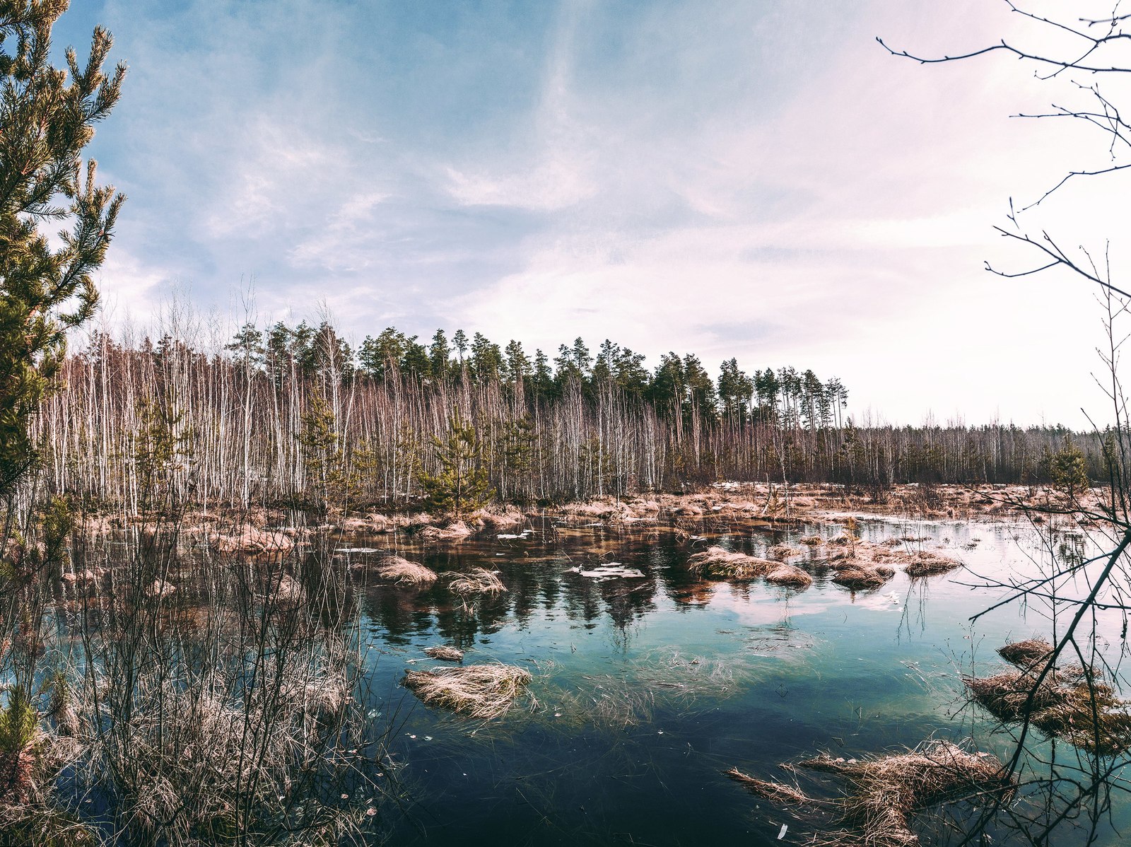 Половодье. Нижегородская область.
 - Моё, Нижегородская область, Половодье, Природа, Фотография, Весна, Лес, Паводок