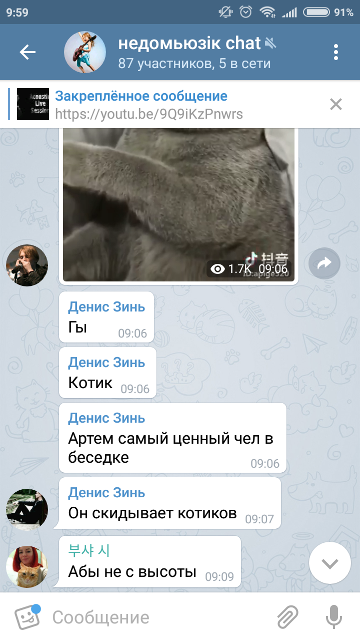 Котикоубийца | Пикабу