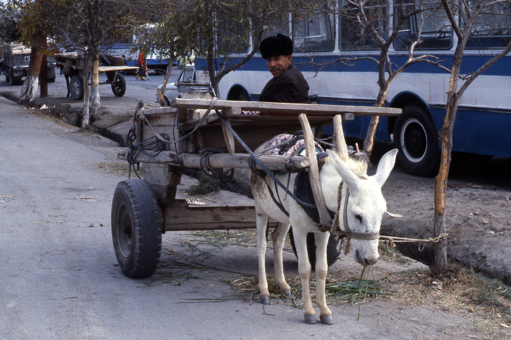 Color photographs of a Swedish tourist. - Uzbekistan, the USSR, 1984, Stalin, The photo, Story, Interesting, Tourism, Longpost