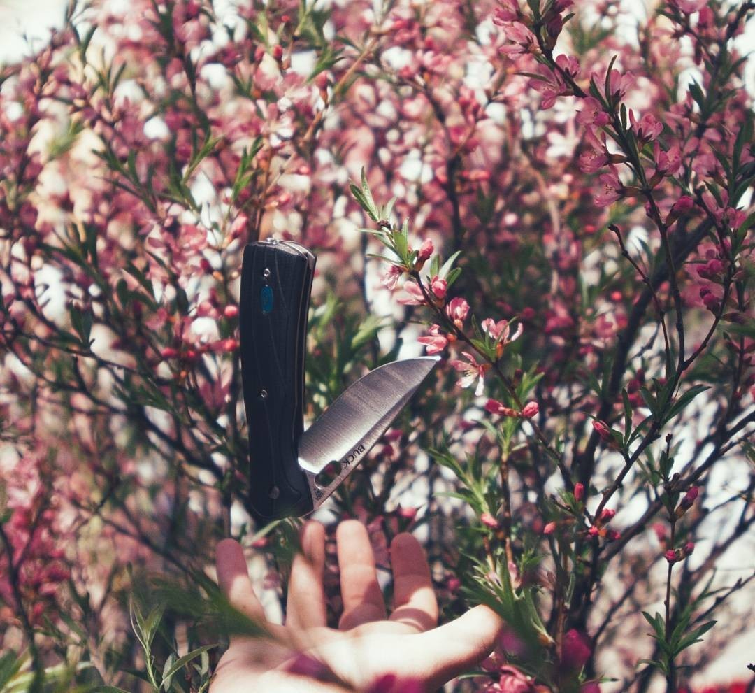 Arranged a gentle spring photo shoot for a couple of my knives - My, Flowers, Spring, Knife, The photo, Tenderness, Longpost