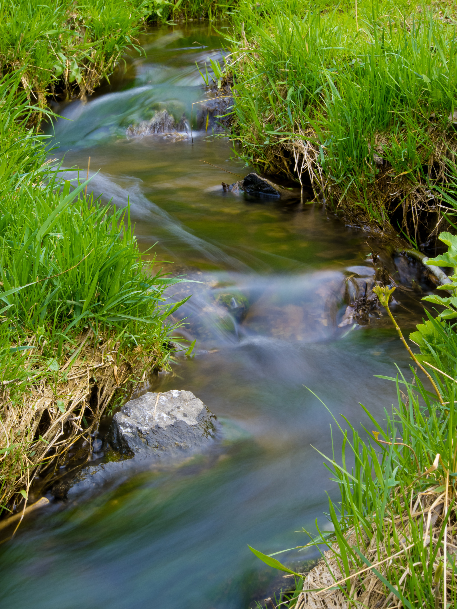 Spring - My, Spring, The photo, League Photos, Photographer, Landscape, Stream, Nature