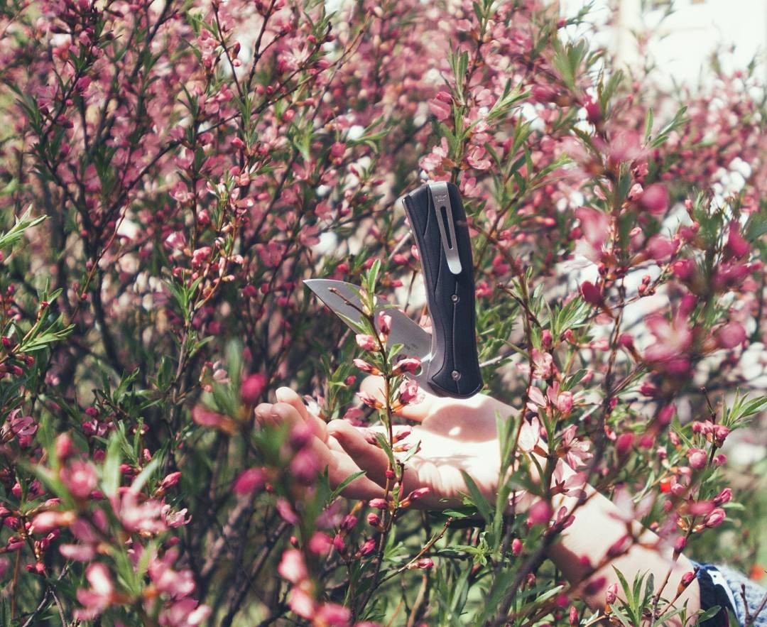 Arranged a gentle spring photo shoot for a couple of my knives - My, Flowers, Spring, Knife, The photo, Tenderness, Longpost