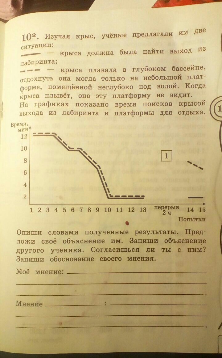 Крысы - Моё, Школа, Домашнее задание, Крыса