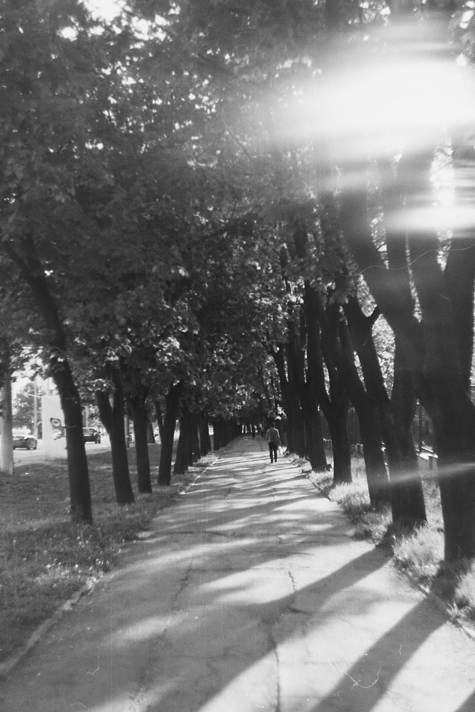 I decided to take a picture on film number 3: Black and white film. - My, Zenith, Zenit 11, Film, camera roll, Longpost