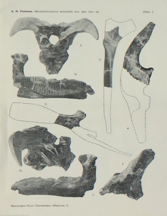 The first Russian dinosaur - Paleontology, Dinosaurs, Interesting, The science, Fossils, Copy-paste, Longpost