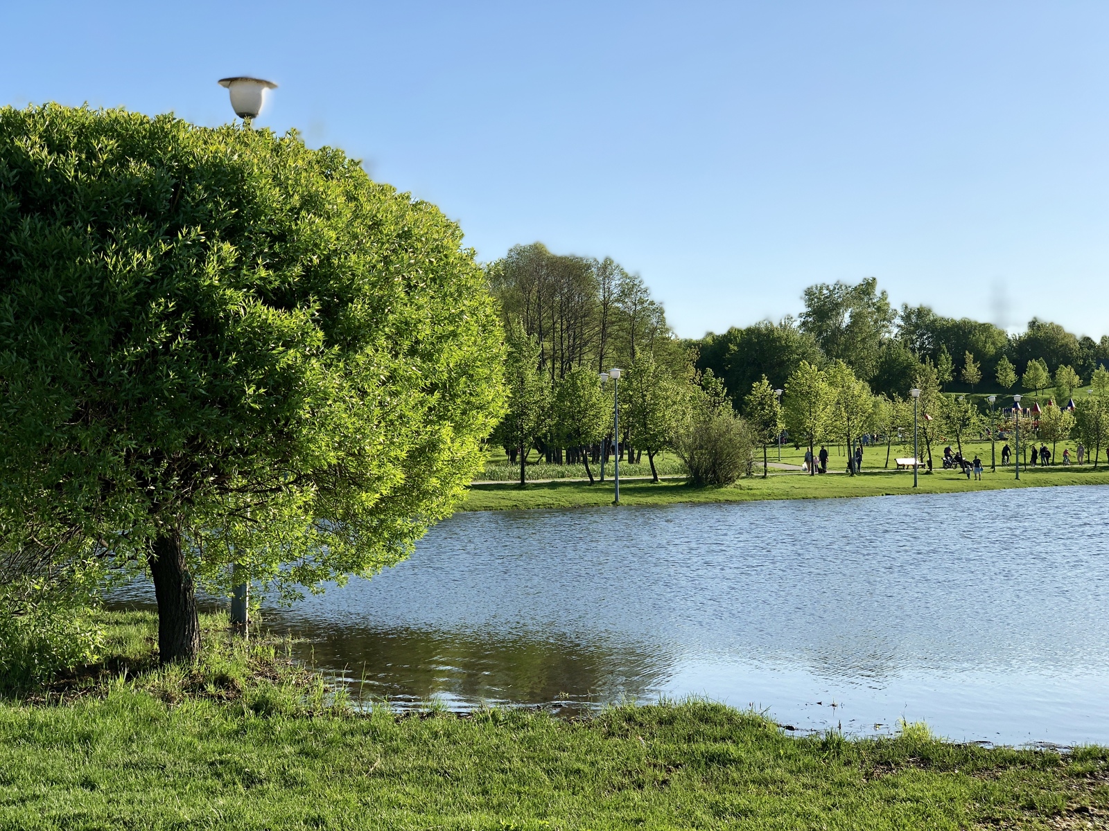 Maisky (Brateevsky, Park of the 850th Anniversary of Moscow) - My, The photo, The park, Moscow, , , Maryino, Longpost