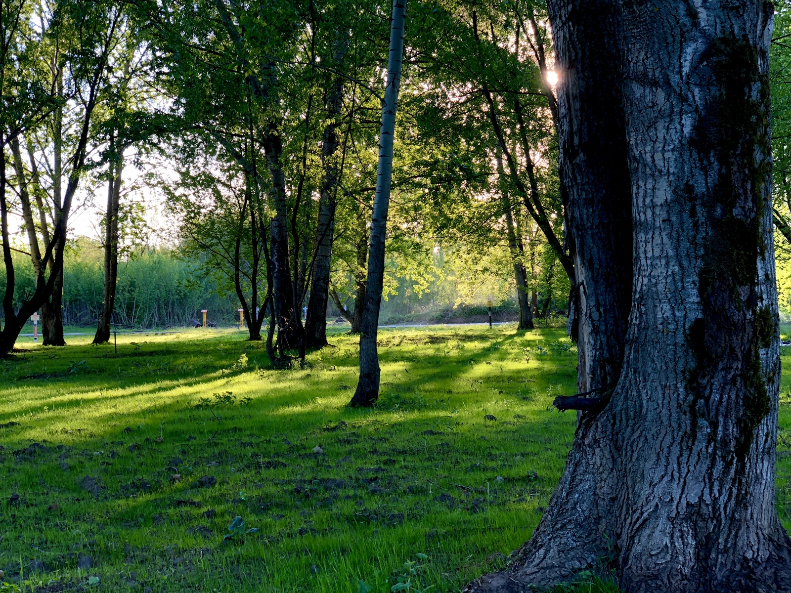 Maisky (Brateevsky, Park of the 850th Anniversary of Moscow) - My, The photo, The park, Moscow, , , Maryino, Longpost