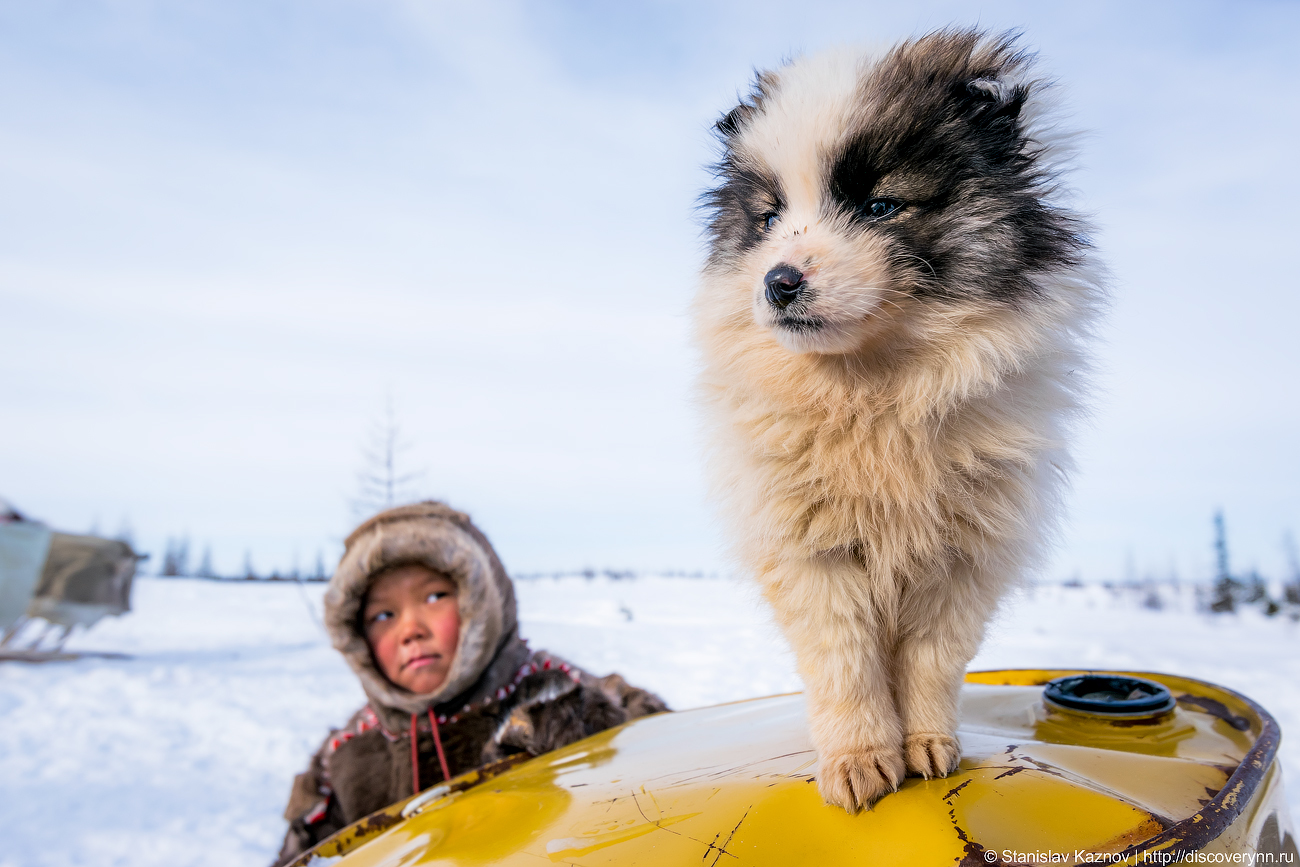 Yamal, beautiful and unforgettable... We will definitely be back! - My, Yamal, Salekhard, Photo tour, Travel across Russia, Longpost