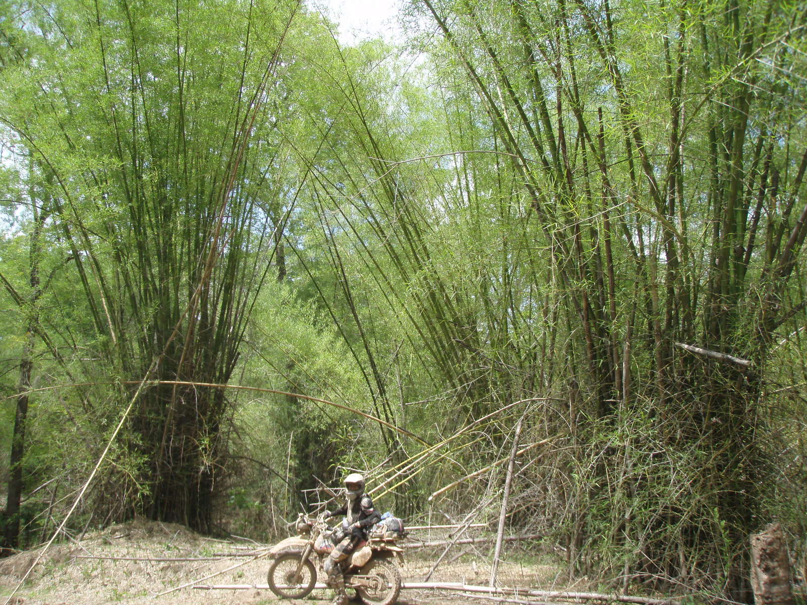 By Cambodia not a motorcycle - My, Travels, Cambodia, Motorcycles, Motorcycle travel, Abroad, Longpost, Moto