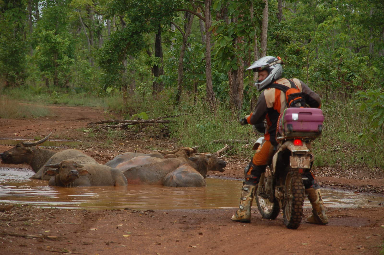 By Cambodia not a motorcycle - My, Travels, Cambodia, Motorcycles, Motorcycle travel, Abroad, Longpost, Moto