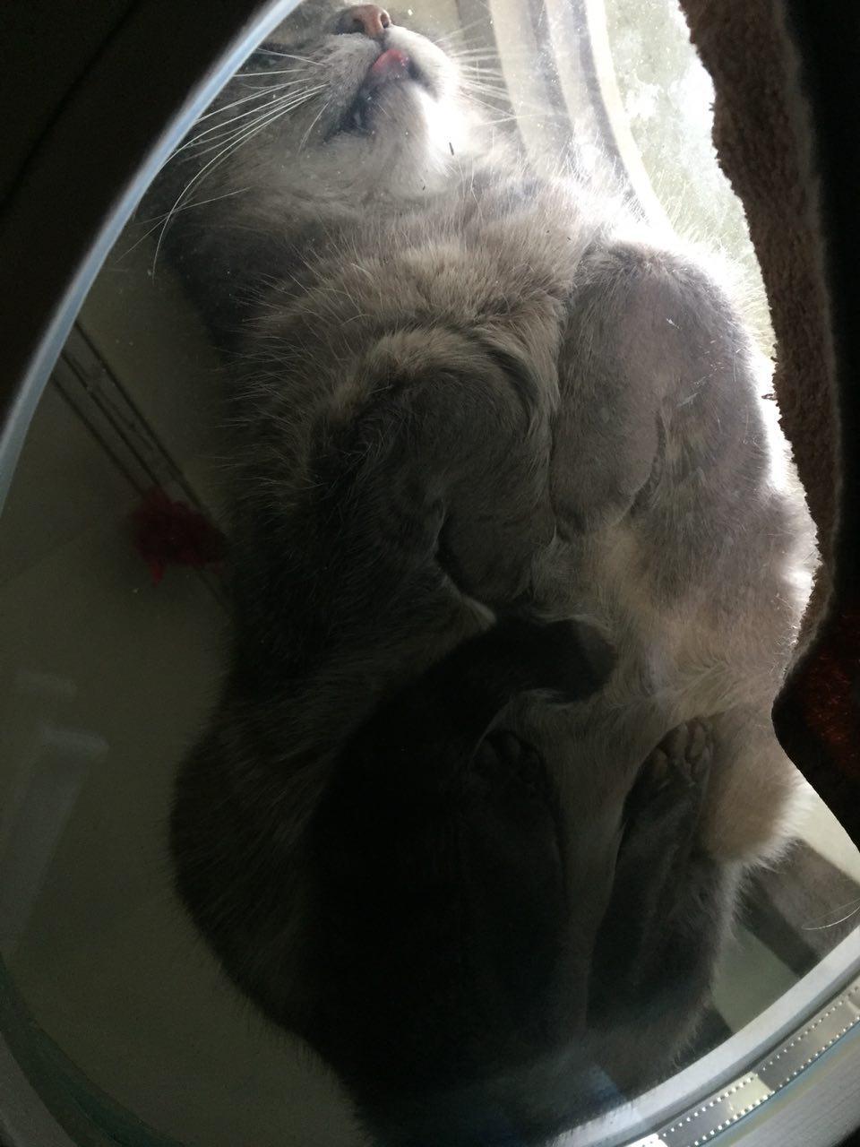 Bottom view - pikabu.monster