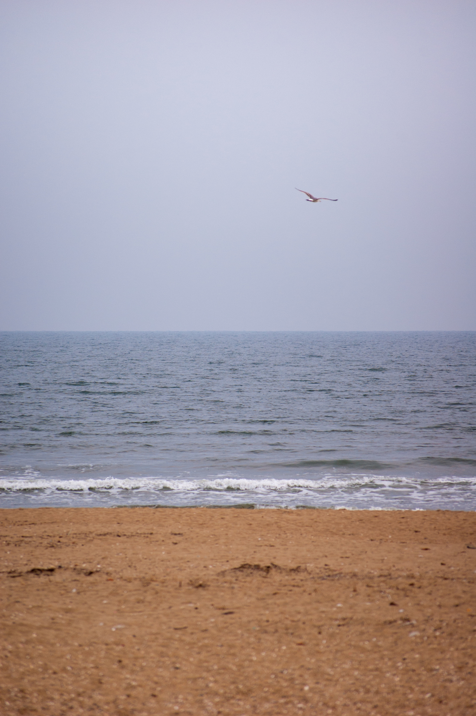 By the sea - My, Nikon D40, Sea, Дальний Восток, Beginning photographer, Nature, Landscape, Longpost