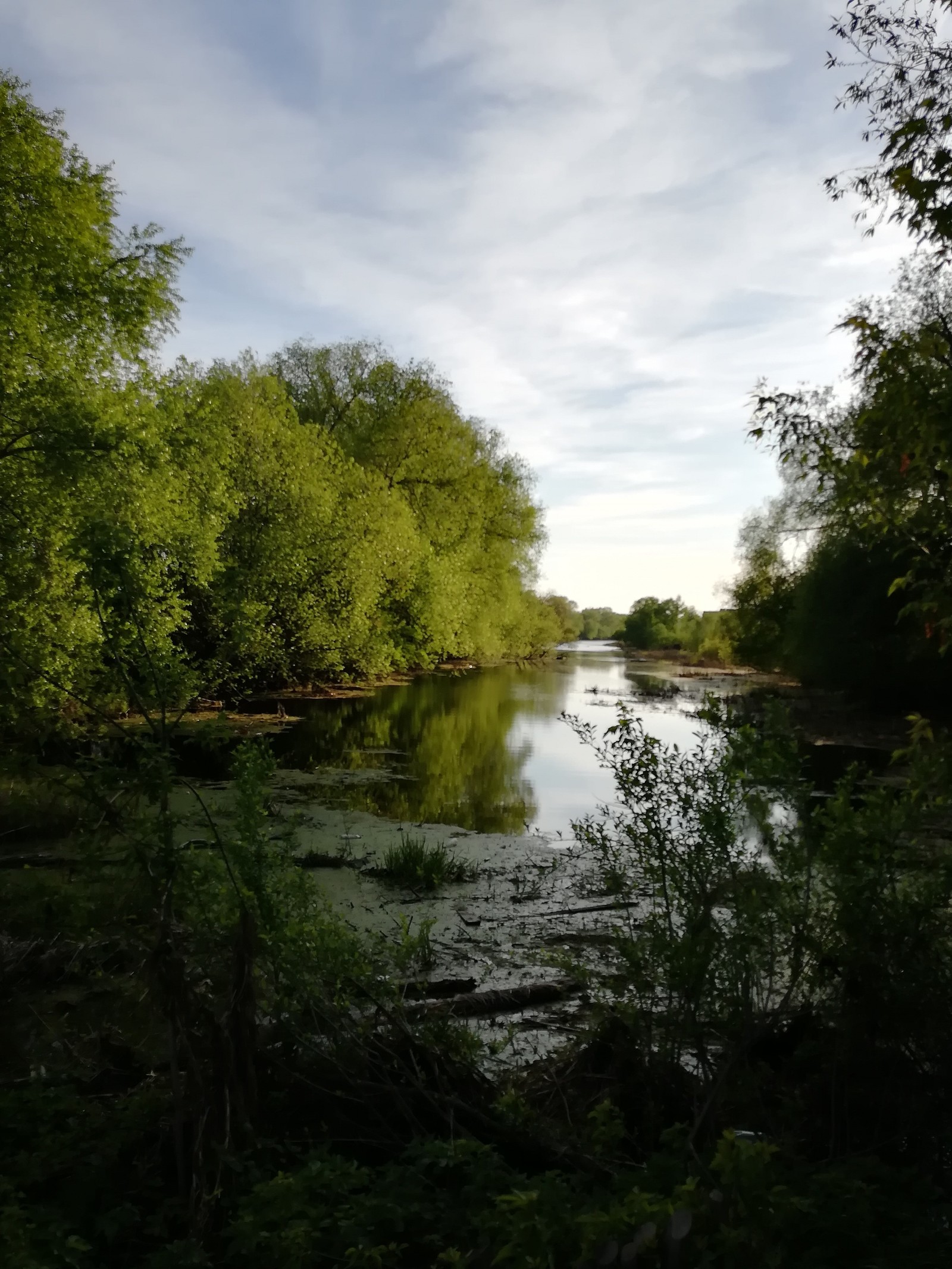 In the village - My, Village, River, Longpost