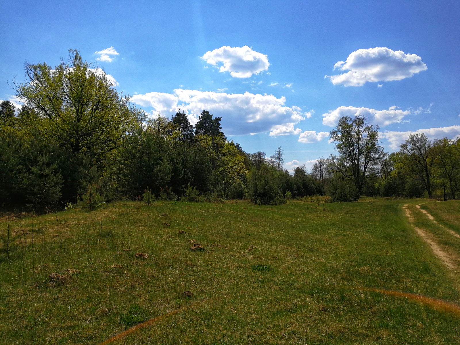 Mini bike ride - My, Longpost, Nature, The photo, Dzerzhinsk, Canon, Huawei mate 9