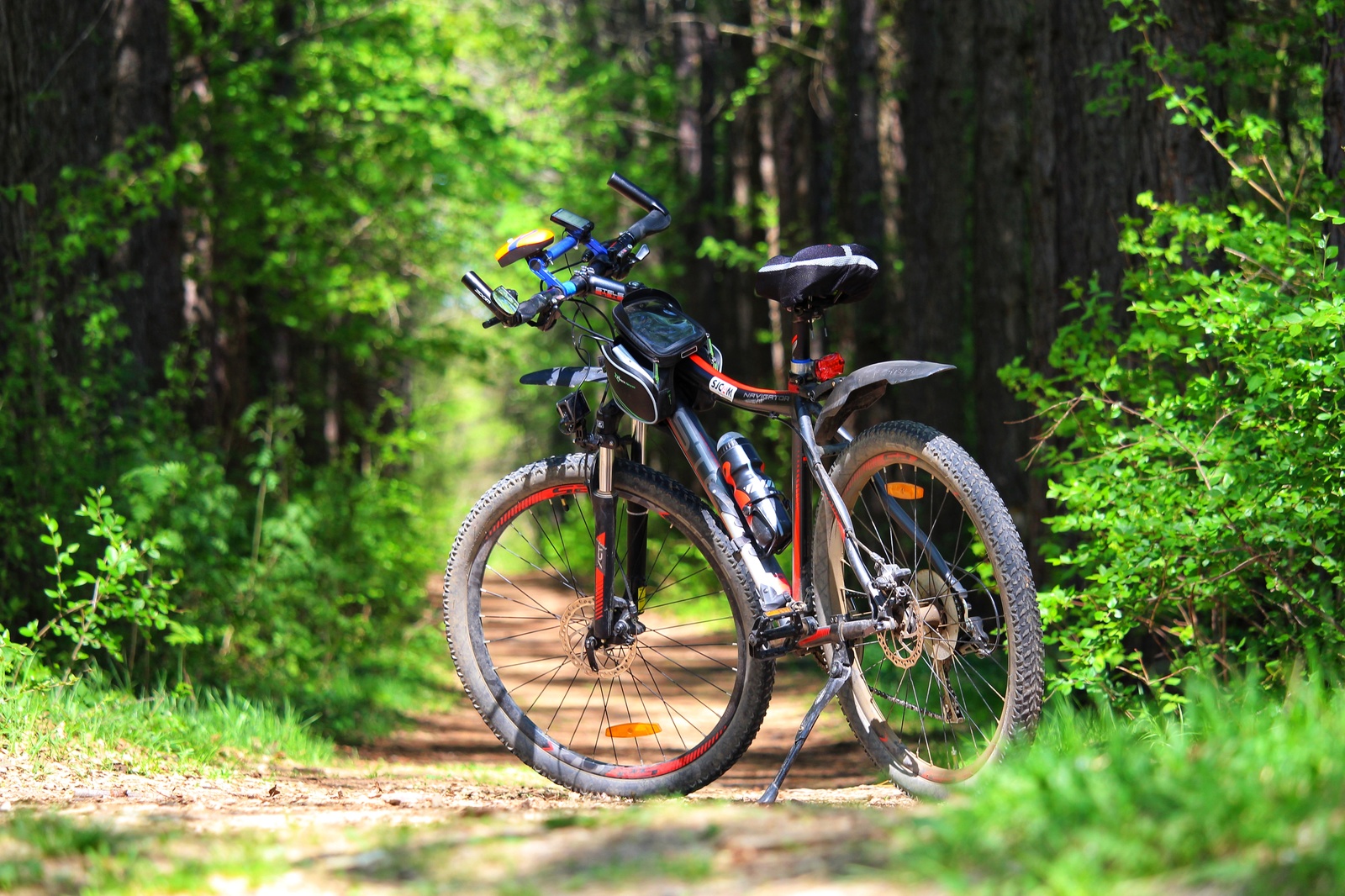 Mini bike ride - My, Longpost, Nature, The photo, Dzerzhinsk, Canon, Huawei mate 9