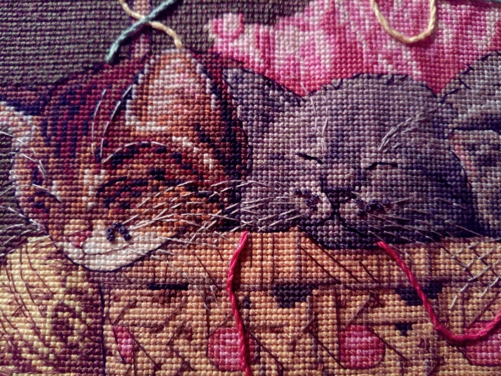 Cross-stitch. My works #1. Kittens. - My, Needlework without process, Needlework, Embroidery, Cross-stitch, Kittens, Longpost, cat