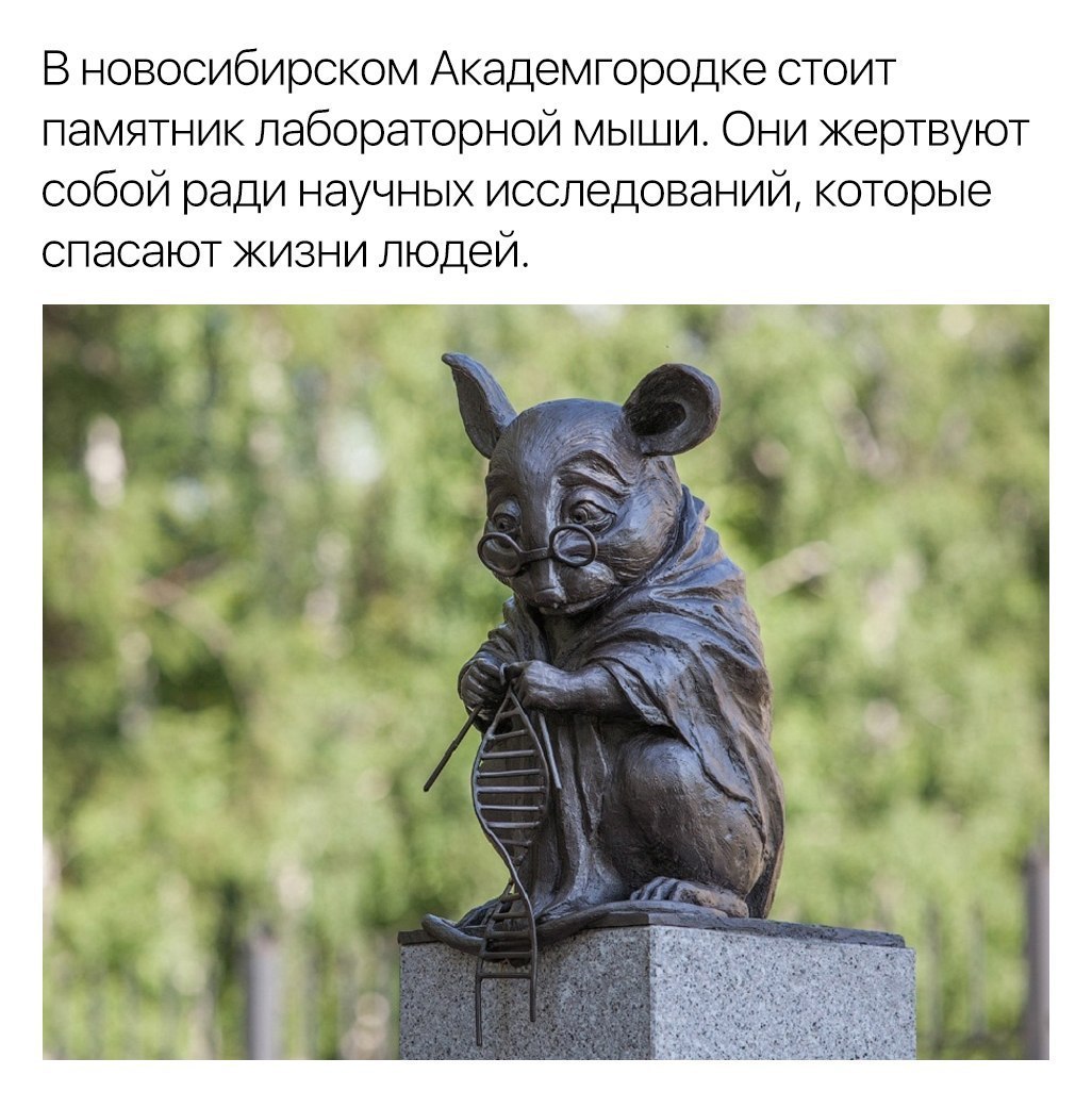 Monument to the laboratory mouse - Animals, Rodents, The science, People, Mouse, Monument