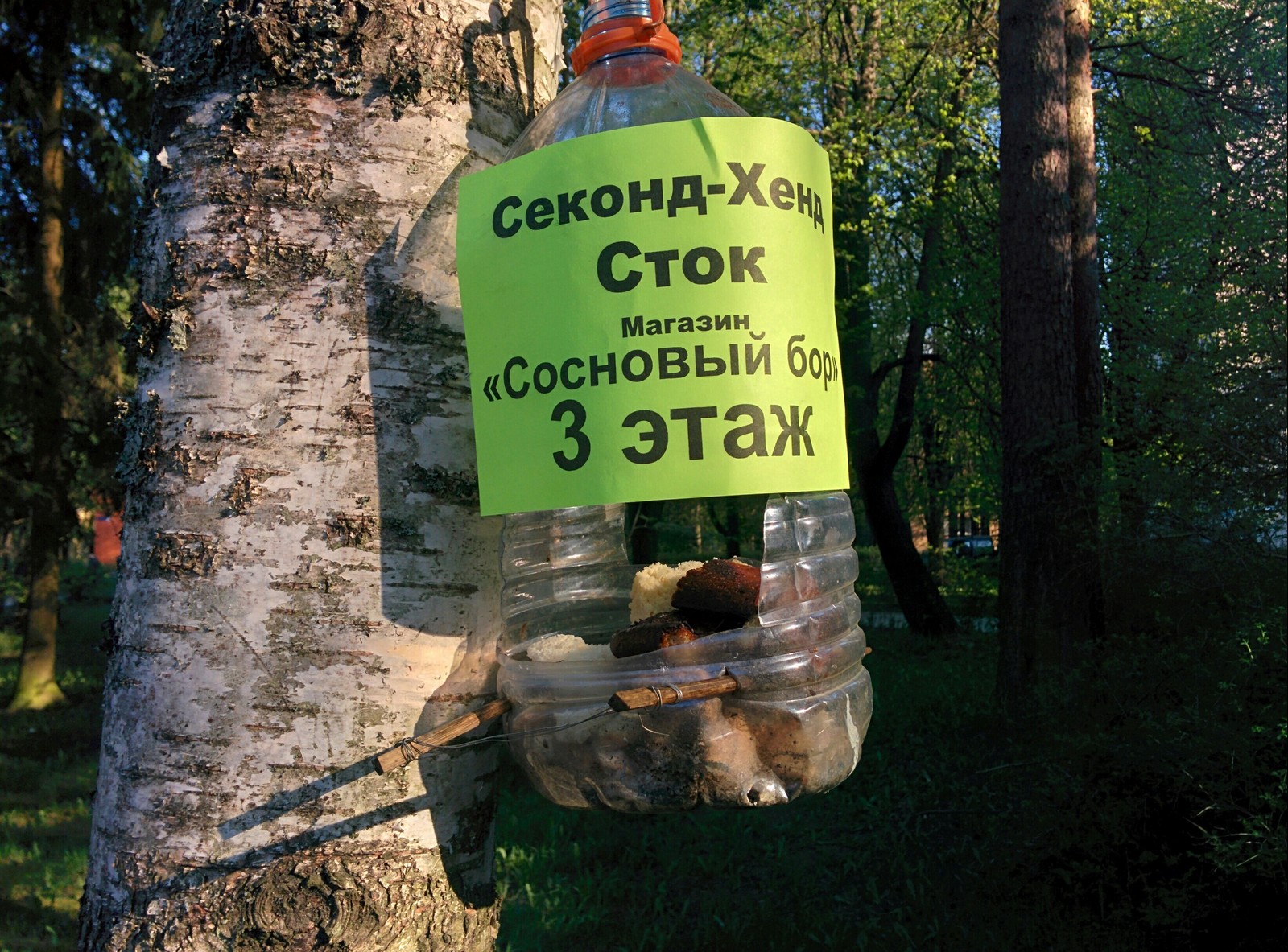 Расклейка рекламы у дверей подъездов? Пфф, прошлый век | Пикабу