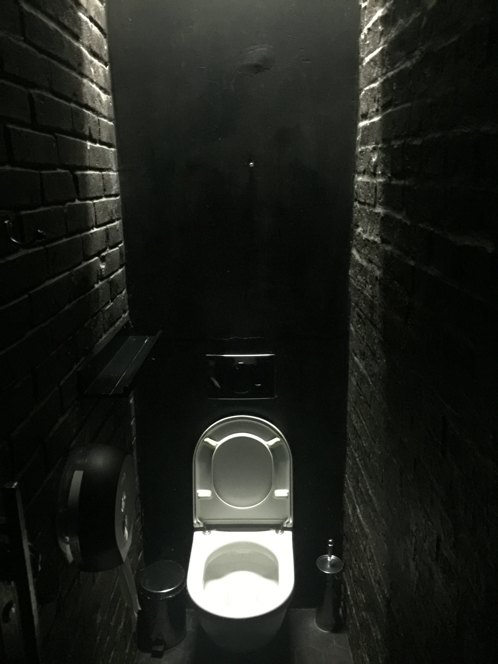 It seems to me that the toilet offers me an additional quest))))) - My, Toilet, Humor