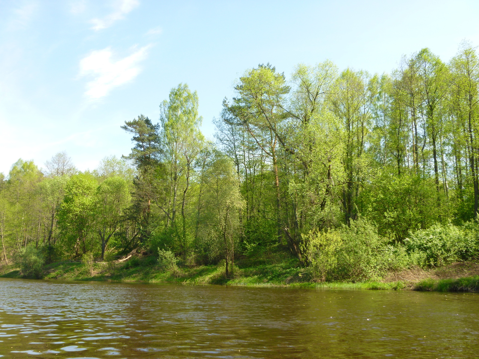 May fishing - My, Fishing, Chub, Longpost